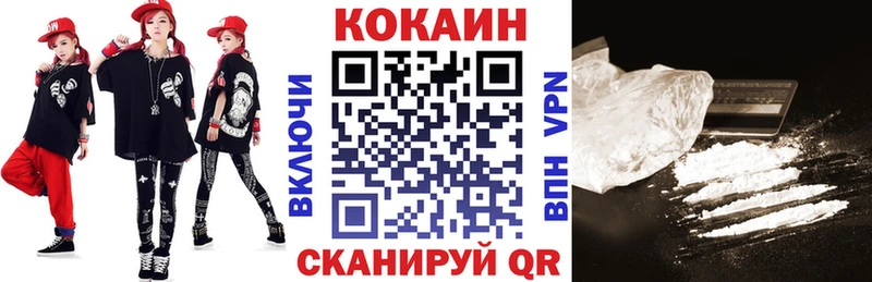 КОКАИН Fish Scale  ОМГ ОМГ маркетплейс  Рудня  купить  