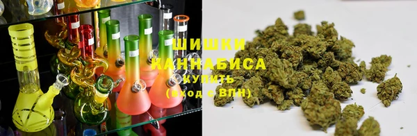 индика Балахна