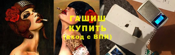 индика Балахна