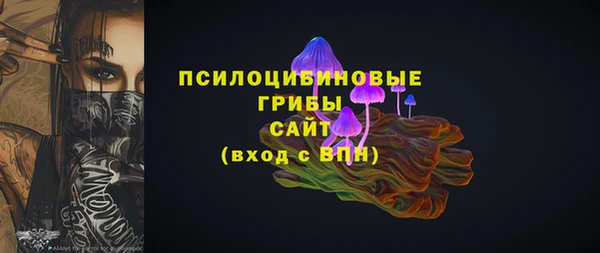 шишки Балабаново