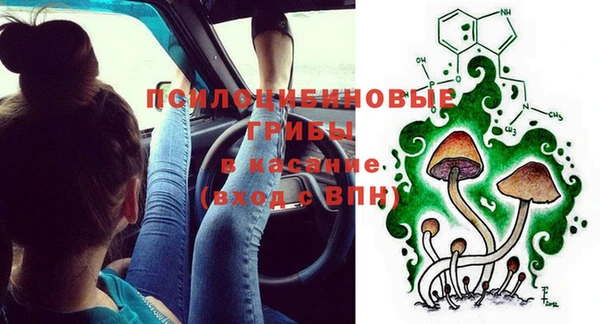 индика Балахна