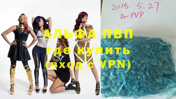 индика Балахна