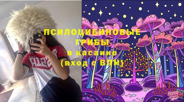 гашик Баксан