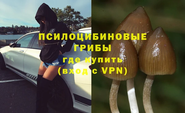 гашик Баксан