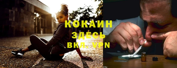 гашик Касимов