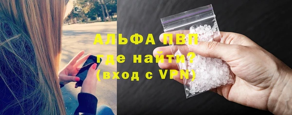 индика Балахна