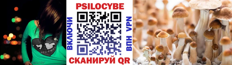 Псилоцибиновые грибы ЛСД  Рудня 